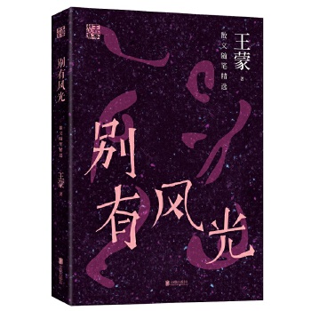 别有风光(pdf+txt+epub+azw3+mobi电子书在线阅读下载)