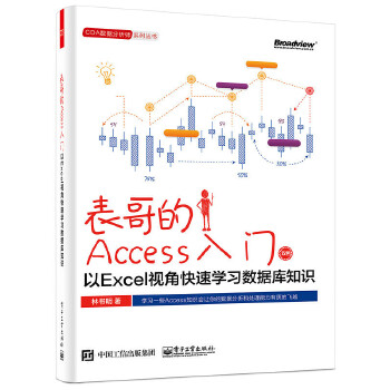 表哥的Access入门(pdf+txt+epub+azw3+mobi电子书在线阅读下载)