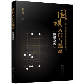 围棋入门与提高：围棋急所(pdf+txt+epub+azw3+mobi电子书在线阅读下载)