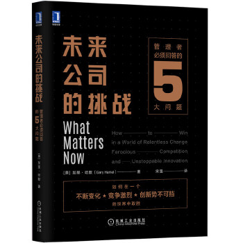 未来公司的挑战:管理者必须回答的5大问题(pdf+txt+epub+azw3+mobi电子书在线阅读下载)