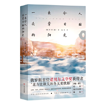 一束令人头晕目眩的阳光(pdf+txt+epub+azw3+mobi电子书在线阅读下载)