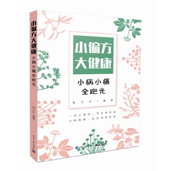 小偏方大健康：小病小痛全跑光(pdf+txt+epub+azw3+mobi电子书在线阅读下载)