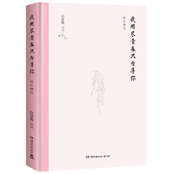 我用尽青春只为寻你（精装版）(pdf+txt+epub+azw3+mobi电子书在线阅读下载)