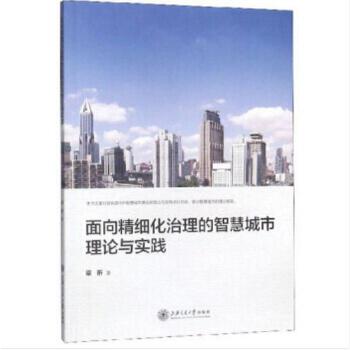 面向精细化治理的智慧城市理论与实践(pdf+txt+epub+azw3+mobi电子书在线阅读下载)