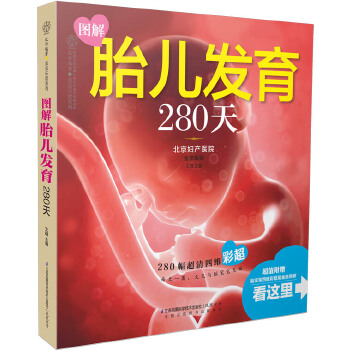 图解胎儿发育280天(pdf+txt+epub+azw3+mobi电子书在线阅读下载)