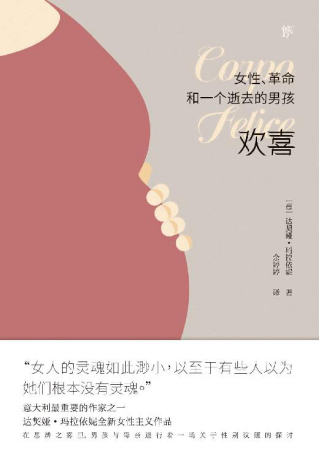 欢喜：女性、革命和一个逝去的男孩「pdf-epub-mobi-txt-azw3」