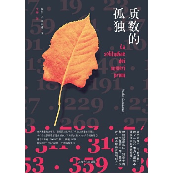 质数的孤独(pdf+txt+epub+azw3+mobi电子书在线阅读下载)