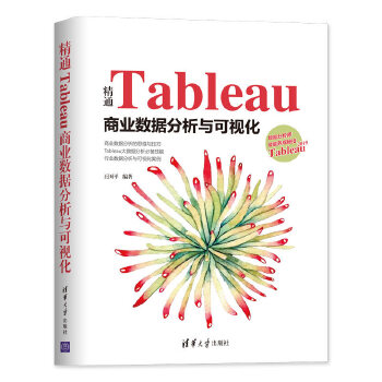 精通Tableau商业数据分析与可视化(pdf+txt+epub+azw3+mobi电子书在线阅读下载)