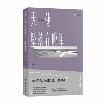 天使坠落在哪里(pdf+txt+epub+azw3+mobi电子书在线阅读下载)