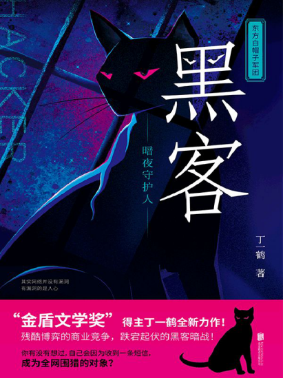 黑客：暗夜守护人pdf,epub,mobi,txt