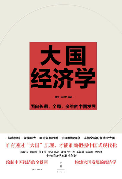 大国经济学pdf,epub,mobi,txt